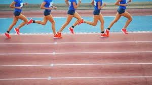 《白荆回廊》「雪中春信」限时主题活动开启，登录直送100连！